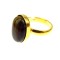 Inel argint reglabil placat cu aur cu ochi de tigru 14x10 MM