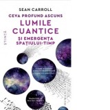 Ceva profund ascuns. Lumile cuantice si emergenta spatiului-timp - Sean Carroll