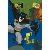 Cumpara ieftin BATMAN HOT AND COLD