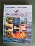 Tratat de Ihtiopatologie - Gabriela Munteanu, 2008, stare buna / R8P2S