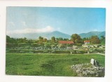 RF113 - Carte Postala - Sarmizegetusa. Jud Hunedoara, necirculata