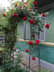 Casa in Satul BALACIU Judetul Ialomita foto