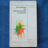 Cumpara ieftin DICTIONAR DE TERMINOLOGIE LITERARA - GH. GHITA, C. FIERASCU