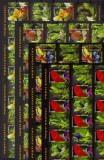 Cumpara ieftin RO 2005 ,LP 1676b ,&quot;Pesti exotici&quot;, serie in coli de 20 marci+20 viniete , MNH