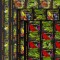 ✅ RO 2005 ,LP 1676b ,&quot;Pesti exotici&quot;, serie in coli de 20 marci+20 viniete , MNH