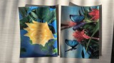 LOT 2 CARTI POSTALE VECHI 3D JAPAN =FLORI