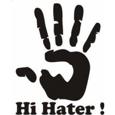 Sticker Auto Hi Hater