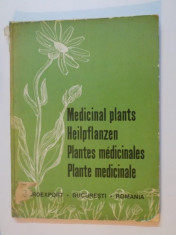PLANTE MEDICINALE / MEDICINAL PLANTS / PLANTES MEDICINALES foto