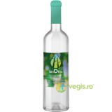 Seva de Mesteacan Lactofermentata Ecologica/Bio 750ml