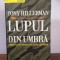 Tony Hillerman &ndash; Lupul din umbra