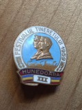 Insigne ( Festivaluri Concursuri ) Festivalul tineretului Hunedora