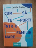 Cum sa te porti intr-o familie mare- Camille Bordas