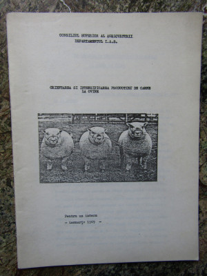 ORIENTAREA SI INTENSIFICAREA PRODUCTIEI DE CARNE LA OVINE foto