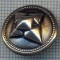 AX 1175 NASTURE METALIC MASONIC ? - CRUCEA SAGITARA -PENTRU COLECTIONARI