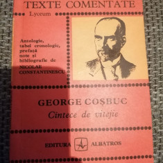 Cantece de vitejie - George Cosbuc - TEXTE COMENTATE