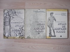 ATLAS DE ANATOMIE UMANA- MIRCEA IFRIM, VOLUMUL I,II,III- cartonate, r2b foto