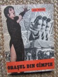 Orasul din campie - Ion Tipsie - 1979
