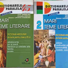 MARI TEME LITERARE VOL.1-2 DICTIONAR ANTOLOGIE DE TEXTE PENTRU CLASA A IX-A-F. SINDRILARU, GH. CRACIUN, R.L. JUG