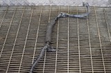 VW JETTA MK6 162, 163 2013 OEM: 1K0131128D SKU: 11100090