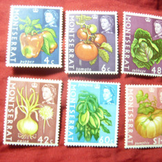 Serie mica Montserrat colonie britanica 1965 Elisabeta II , legume , 6 val. sarn