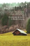 O vacanță de iarnă &icirc;n Munții Carpați. Clipe de durere. Clipe de iubire (Vol. 2) - Paperback brosat - Andrei Filotti - Vremea