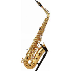 Cauti Vand saxofon Yamaha YAS 62 C? Vezi oferta pe Okazii.ro