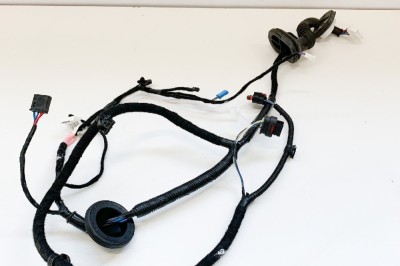 Cablaj ușă dreapta spate TESLA MODEL 3 2018 OEM: 2067966-00-A 10884321 foto
