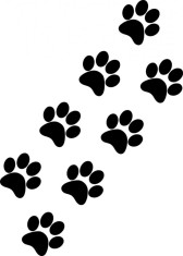 Sticker Auto, Amprenta Animal, 30 cm, 12250ST-2 foto