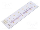 Baretă LED Philips 12 diode 2700K 49,5x172,2mm