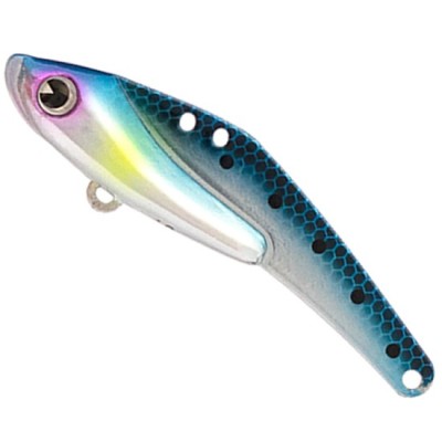 Cicada IMA Schneider 28, 019 Plated Sardines, 7.3cm, 28.0g foto