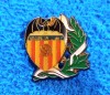 Insigna fotbal - VALENCIA CF (Spania)