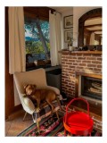 Tablou Canvas, "C&acirc;ine odihnindu-se l&acirc;ngă șemineu", Cățel, Fotoliu, Șemineu, Fereastră, Perdea, Decor, Tablouri, Covor, Lumină, Scaun Roșu, Lemn, Cărăm