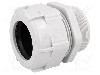 Presetupa poliamida, M50, IP68, {{Seria producatorului}}, BM GROUP - 4950 foto