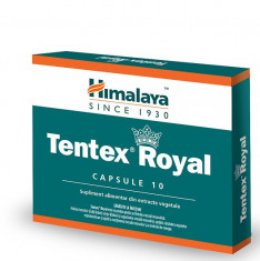 TENTEX ROYAL 10CPS foto