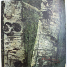 IOAN ANDREESCU - 1850 - 1882 , ANII DE CREATIE IN TARA , catalog de RADU BOGDAN , 1983 , PREZINTA HALOURI DE APA