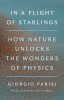 In a Flight of Starlings: How Nature Unlocks the Wonders of Physics