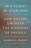 In a Flight of Starlings: How Nature Unlocks the Wonders of Physics