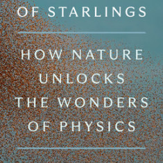 In a Flight of Starlings: How Nature Unlocks the Wonders of Physics