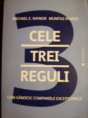 Cele trei reguli - Michael Raynor foto