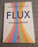 Flux psihologia fericirii Mihaly Csikszentmihalyi