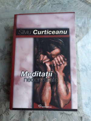 MEDITATII NECENZURATE - SILVIU CURTICEANU foto