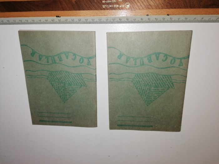 LOT 2 VOCABULAR SUSENII BARGAULUI PAPER DRAGON