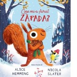 Cine mi-a furat zapada? - Mihaela Pogonici , Alice Hemming, Nicola Slater