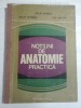 NOTIUNI DE ANATOMIE PRACTICA - NICOLAE DIASCONESCU, NICOLAE ROTTENBERG, VIRGIL NICULESCU