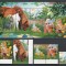 Australia 1996 Mi 1597/602 + bl 23 MNH, nestampilat - Animale de companie