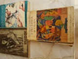 Cumpara ieftin Lot 3 romane