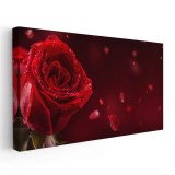 Tablou floare trandafir rosu 1767 Tablou canvas pe panza CU RAMA 40x80 cm