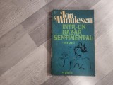 Intr-un bazar sentimental de Ion Minulescu
