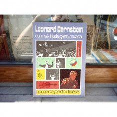 Cum sa intelegem muzica , Leonard Bernstein , 1982