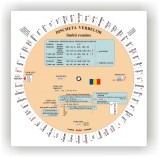 Discheta verbelor - Limba romana | Camelia Stan, Dragos Stan